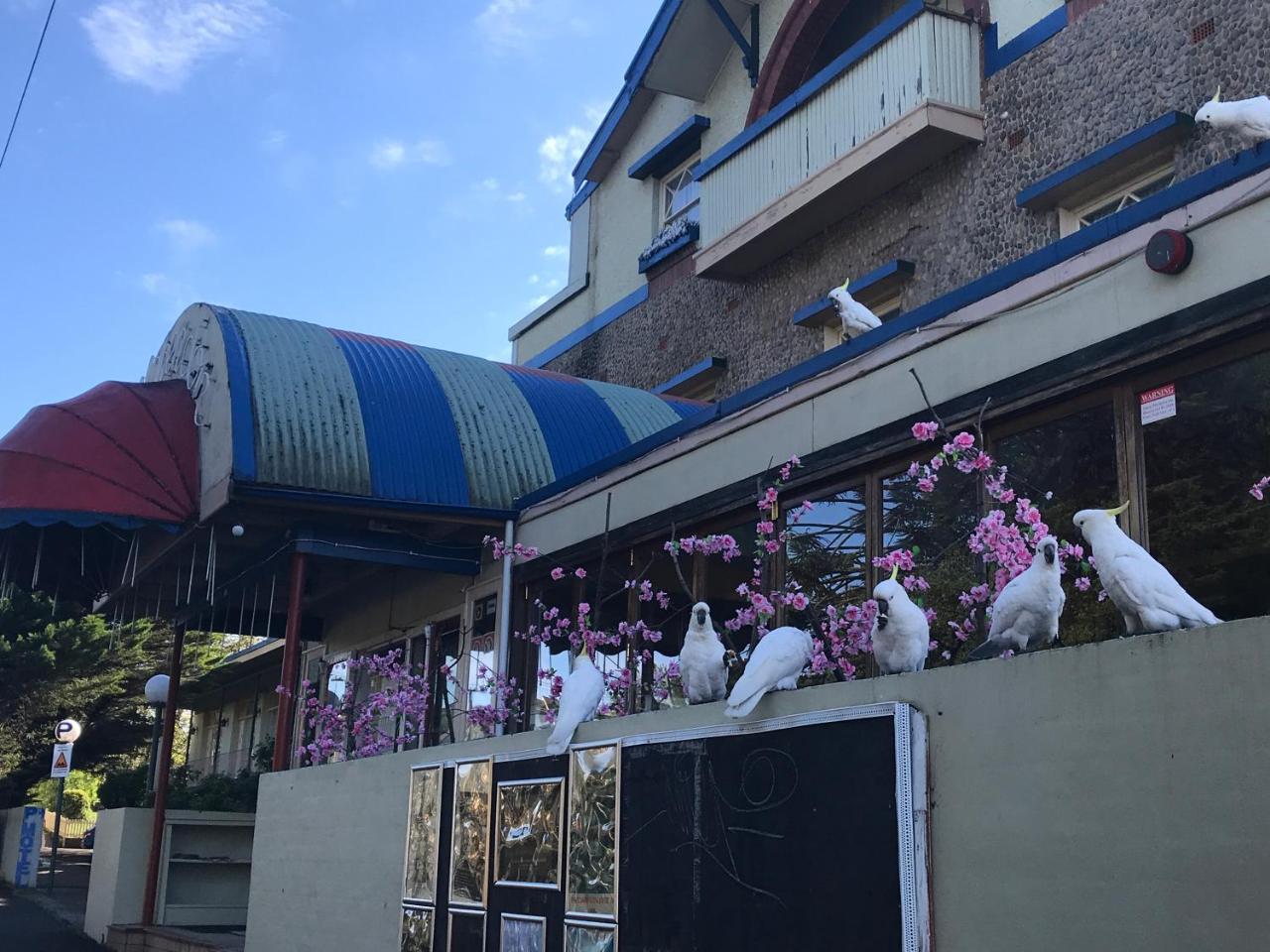 The Clarendon Motel Katoomba Dış mekan fotoğraf